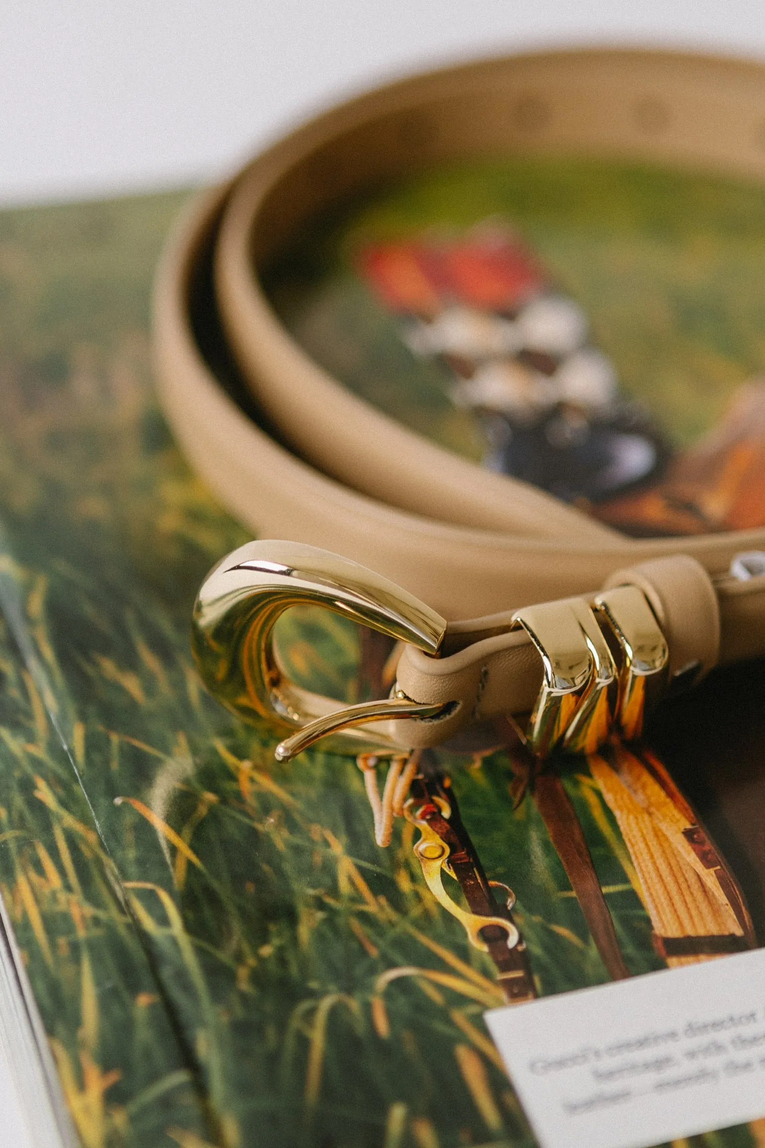 Small Favor Belt